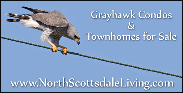 Grayhawk Condos and Townhomes for Sale Search Grayhawk condos and townhomes for sale with our team of inVIVO realty Arizona realtors.